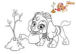 Coloriage Pat Patrouille A Telecharger Gratuitement En 2020 Coloriage Pat Patrouille Coloriage Paw Patrol Coloriage