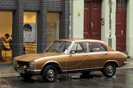 Image result for Brown Squirrel 2014 Peugeot