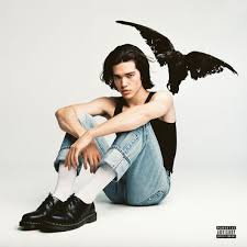 Conan Gray Kid Krow In 2020 Conan Gray Aesthetic Music Album Cover Cool Album Covers
