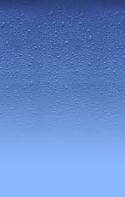 Jefferson Shelby Swim Council