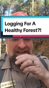 after California's forest were clearcut they were then planted way too  thick. now we have to go in and thin them so that other plants can grow  between the trees. #forestry #learnontiktok #funnyteacher ...