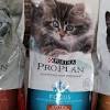 Untuk memenuhi nutrisinya, makanan kucing atau cat food dari berbagai merk banyak bermunculan. 3