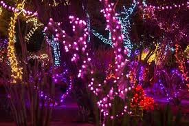 Ethel m is ethel mars, the matriarch of the family famous for mars chocolates, including m&ms. Ethel M Lights Of Love Las Vegas Baby Magazine