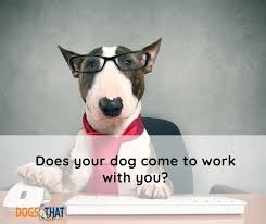 Crate games is the cornerstone of susan garrett's unbelievably successful dog training program, and is extensively used and recommended by dog trainers and professional dog care providers around the globe. Susan Garrett Facebook