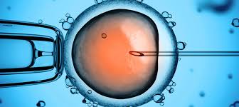 Biologie uniwien bachelorarbeit / fragezeichen psychologiestudium waldviertler wien : Biologie Uniwien Bachelorarbeit 2 Darriusbdsrbp