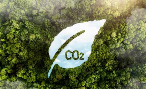 Carbon Footprint Tracking Bukan Sekadar Tren Lingkungan