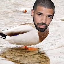 What the hell is a gander anyway?