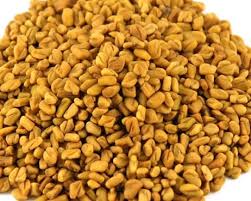 Fenugreek is an herb that's commonly used in traditional and alternative medicine. Fenugreek Farming Methi Techniques Tips And Ideas Agri Farming