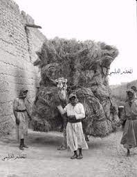 صور قديمة جدا من العراق الزبير التي كانت حاضرة نجد والبصرة ومركزهما التجاري ألت قطت عام ١٩٢٤م قبل أكثر من ٩٠ سنة baghdad historical pictures history