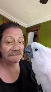 Furby the Birb's Hilarious Reaction to Filter