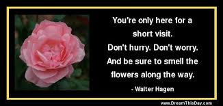 We did not find results for: Daily Inspiration Daily Quotes Smell The Flowers