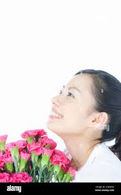 Carnation plants hi-res stock photography and images