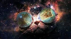 Space Cat Space Cat Cat Wallpaper Galaxy Cat