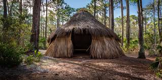 Image result for Mayaca