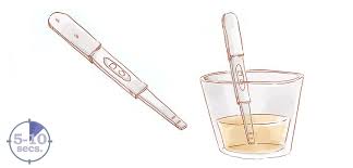 The following are some of the most common diy pregnancy tests that people try. Pregnancy Test Kit Do You Need It Pregnancy Test Result