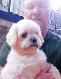 Hi Kyogle Town ,I'm looking for someone to do some mowing and brushcutting  in Larnook 2-3 hrs possibly more and looking at it being a regular gig to  the right contractor. This