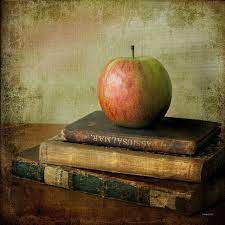 The piri reis map is dated to the year 1513 and on this map some things are show that werent believed to be known until the 1960s. Epli A Bok Explored Still Life Art Old Books Still Life Photography