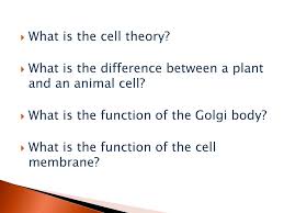 Maybe you would like to learn more about one of these? Ppt What Is The Cell Theory What Is The Difference Between A Plant And An Animal Cell Powerpoint Presentation Id 3063686
