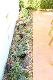 Cottage Garden Landscaping Ideas Those Small Garden Hard Landscaping Ideas Outside Large Garden Landscaping Succulents Succulents Garden Succulent Landscaping