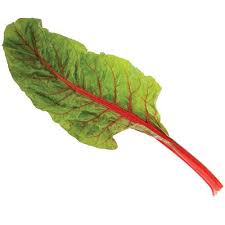 Swiss Chard Rhubarb Swiss Chard Organic Swiss Chard Herb Seeds Seed Tape