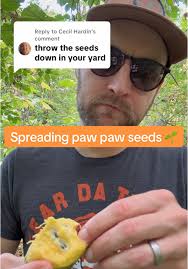 Spreading Paw Paw Seeds: A Nature Lover's Guide
