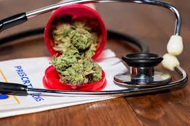 Jun 22, 2021 · the strains of cannabis to be registered as national heritage for medical marijuanas are; How To Get A Medical Marijuana Card In Ny Everything To Know Prestodoctor Blog