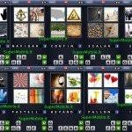 Maybe you would like to learn more about one of these? Soluzioni 4 Immagini 1 Parola Soluzione Completa Per Ios E Android
