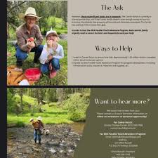 Profile for D.King Photography