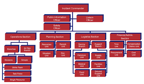 59 Symbolic Fema Org Chart