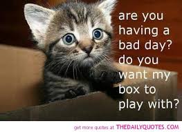 Are You Having A Bad Day The Daily Quotes Cute Animal Quotes Funny Animal Pictures Funny Animals