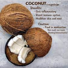 These include promoting blood sugar stability, better digestion, heart health, and. Coconutbenefits Coconut Is Very Beneficial To The Dogs And Cats You Can Feed Actual Coconut Meat No Shells Coconut Wat Coconut Benefits Coconut Food