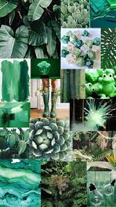 Aesthetic olive green wallpaper iphone. Olive Green Light Green Aesthetic Novocom Top