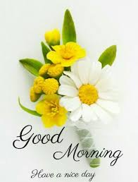Here is latest update hd flowers wallpaper pictures , quotes images for whatsapp/facebook , free best flowers greeting dowload. Good Morning Images Good Morning Flowers Good Morning Images Flowers Good Morning Flowers Rose