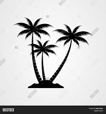 Maybe you would like to learn more about one of these? Palm Tree Silhouette Vector Photo Free Trial Bigstock