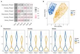 Ödeme planı no ( tahakkuk numarası ): Frontiers The Influence Of Personality Resilience And Alexithymia On Mental Health During Covid 19 Pandemic Psychology