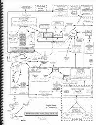 Acupuncture Auriculotherapy Research Education