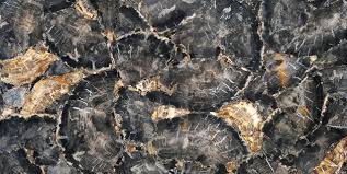 Image Result For Black Petrified Wood Slab