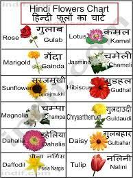 Related Image Hindi Language Learning Learn Hindi Flower Chart