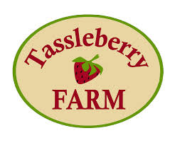 Image result for mayo now logo