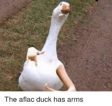 Duck And Duck Meme On Me Me