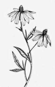 Black eyed susans, black eyed susan, butterflies, butterfly, black eyed susans and butterflies, black eyed susan and butterfly, flower, flowers, bug, bugs, pattern, black eyed susan pattern, garden, flower pattern, yellow flower, yellow black eyed susan, yellow black eyed susans, sketch, hand drawn, black eyed susan drawing, butterflies drawing, pencil drawing, butterflies on black eyed. 27 Black Eyed Susans Ideas Black Eyed Susan Flower Painting Watercolor Flowers