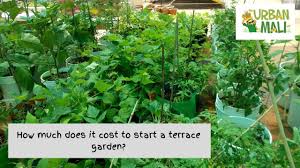 Terrace gardens, fresh greens all the rage; How Much Does It Cost To Start A Terrace Garden Bangalore Gardener Youtube