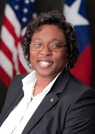 Elaine H. Palmer for 215th Civil District Judge