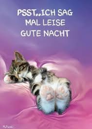 gute nacht bilder fur whatsapp gb bilder gb pics gastebuchbilder gute nacht gute nacht bilder gute nacht katze