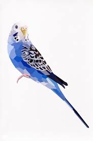 Perruche Bird Illustration Parakeet Art Geometric Animals
