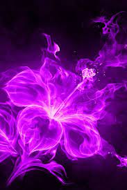 We did not find results for: Free Download Iphone 4 S 640x960 Mobile Wallpaper Purple Neon Flower Fire Flame 640x960 For Your Desktop Mobile Tablet Explore 70 Neon Purple Background Neon Purple Backgrounds Purple Neon