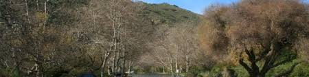 Sycamore canyon elementary pta, santee, california. Sycamore Canyon Campground Point Mugu State Park Hikespeak Com