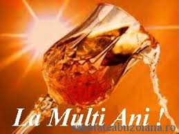 Arestarea acestuia a avut loc abia in 29 iunie 1976, cand a fost capturat de fortele securitatii, in timpul uneia din incursiunile sale clandestine la cluj. De Sf Petru Si Pavel Tuturor Sarbatoritilor La Multi Ani SÄƒnÄƒtatea BuzoianÄƒ