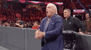 Regarded by multiple peers and journalists as the greatest professional wrestler of all time, flair had a career that spanned almost 40 years. We Got A Game Tomorrow Baybayyyyyyyyyyyyyyyyyyyyyyyyyyyyyyyyyyyyyy Canesinsight