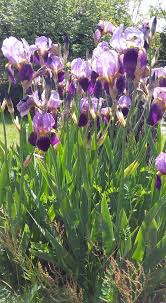 Big thank you to everyone who...